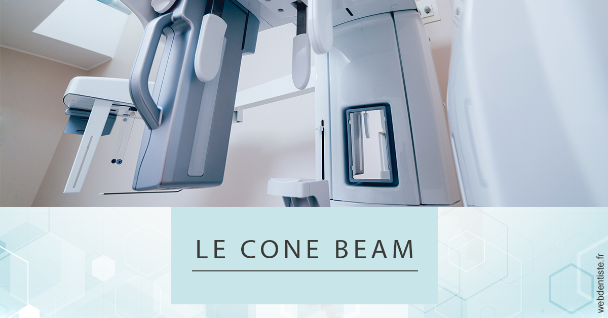 https://selarl-dr-yves-darmon.chirurgiens-dentistes.fr/Le Cone Beam 2