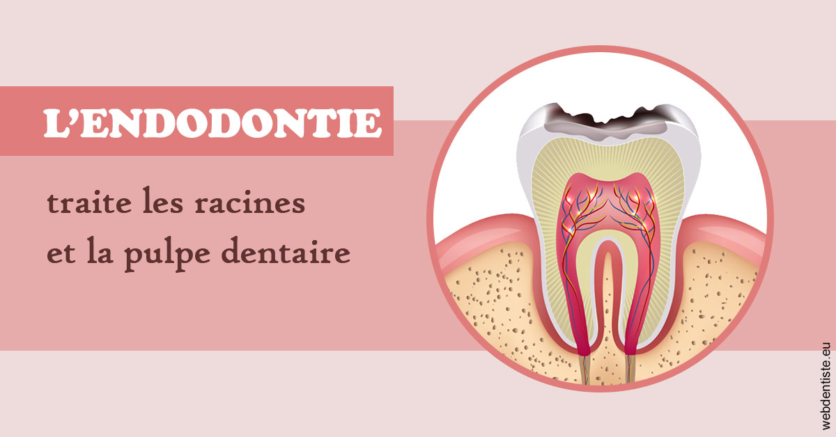 https://selarl-dr-yves-darmon.chirurgiens-dentistes.fr/L'endodontie 2