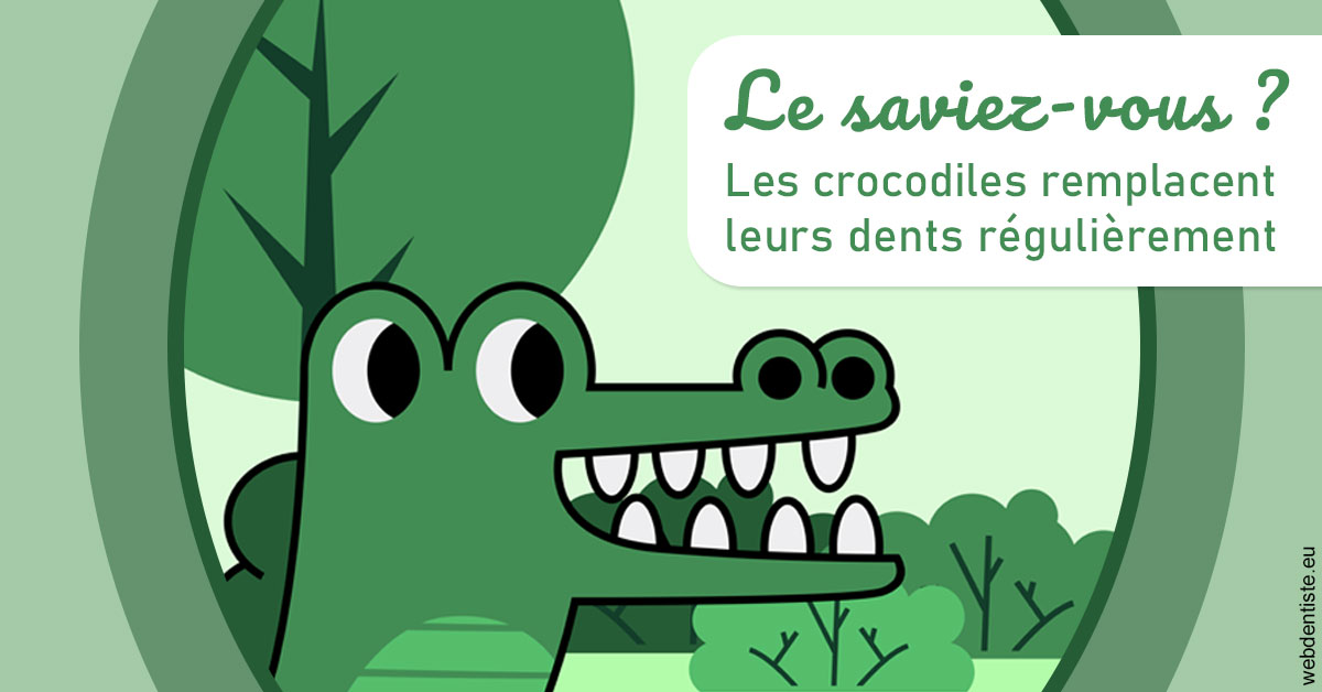 https://selarl-dr-yves-darmon.chirurgiens-dentistes.fr/Crocodiles 2